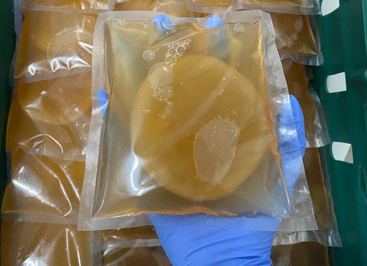 All About Kombucha's hand-packed SCOBY cultures sealed in sterile vacuum pouches — the living heart of every kombucha brew, ready for fermentation and full of probiotic power.