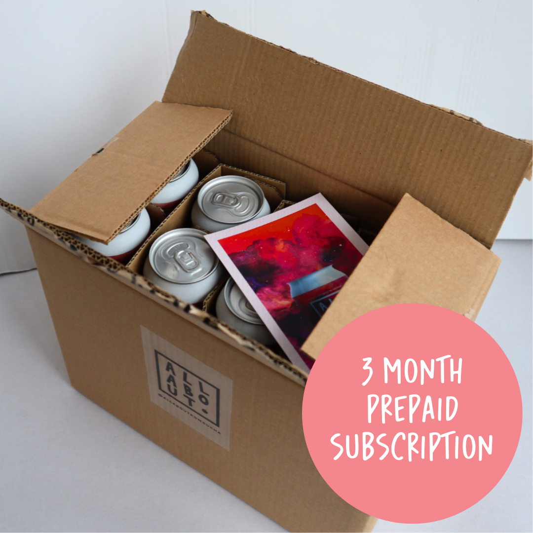 3 Month Prepaid Subscription