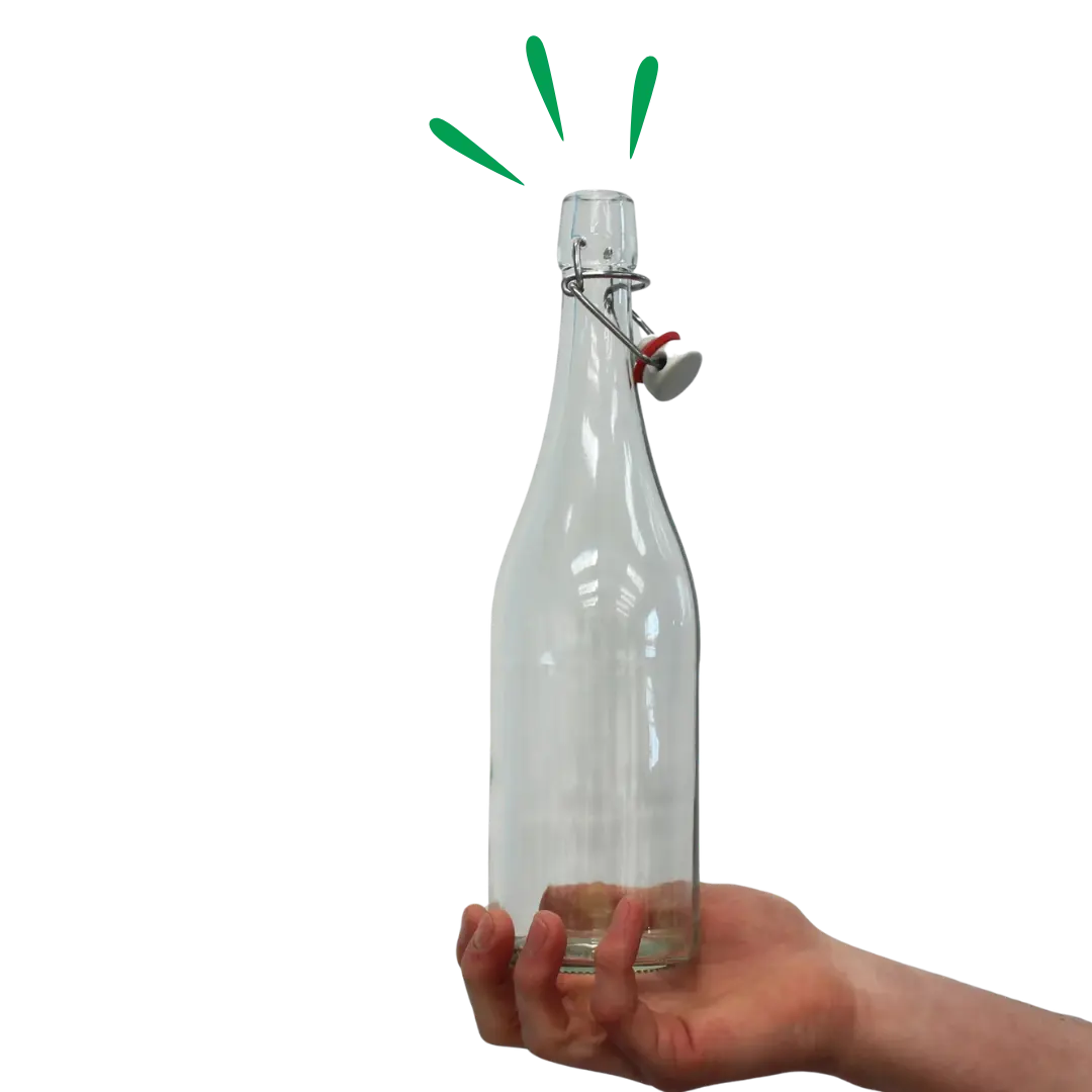 Kombucha brewing kit supplies including a swing-top glass bottle, kombucha SCOBY and starter liquid, and 250g organic cane sugar pouch for home kombucha brewing.